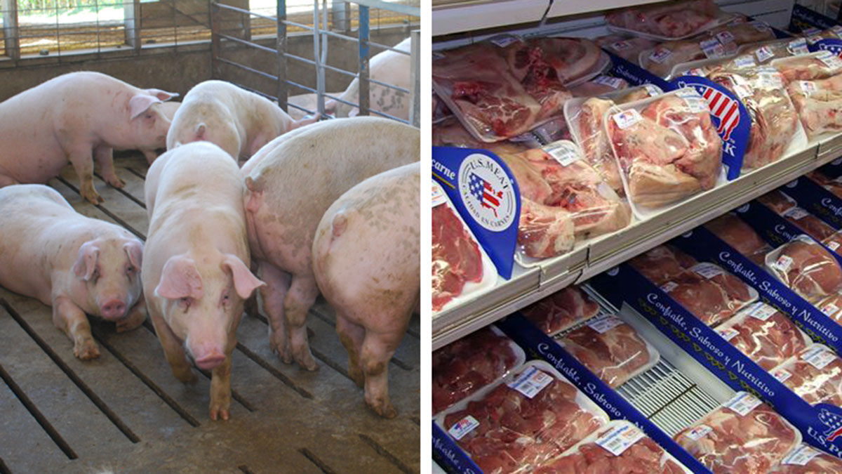 China’s Q1 demand for pork strong: NPPC